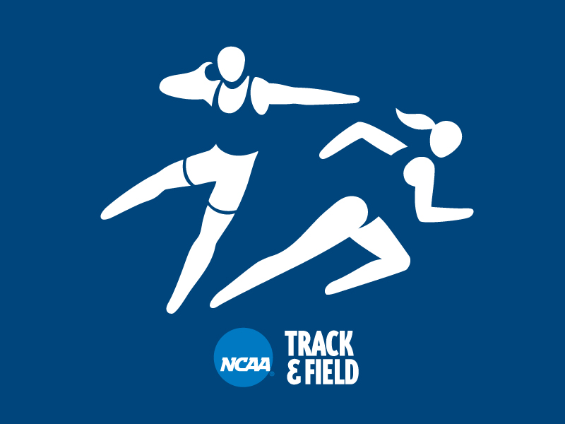 Field tag. Field logo. Track logo. Heptathlon icons.